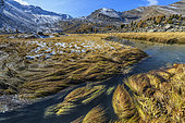 Les Eaux Tortes and Tete de l'Estrop. The glacial cirque and the valley bottom of the Eaux Tortes, at 2250 meters of altitude, are the result of the melting of a piece of the glacier de la Blanche. An interweaving of channels has carved peat bogs where a particular vegetation, adapted to this cold and humid altitude environment, has developed (rushes, sedges, mosses...). Vallon de Laverq, Alpes de Haute Provence, France