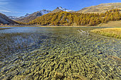 Lac des Sagnes, mountain lake (1905 m) nestled in Haute Ubaye, Alpes de Haute Provence, France