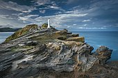 Lighthouse in the evening light on the cliffs of lava rock at Castlepoint, Masterton, Wellington, New Zealand, Oceania
