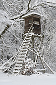 Hunting blind in winter, Hesse, Germany, Europe