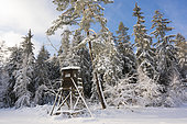 Hunting blind in winter, Hesse, Germany, Europe