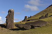 Rano Raraku, Moaï Quarry, Easter Island, Chile