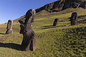 Rano Raraku, Moaï Quarry, Easter Island, Chile