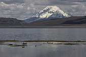 Mountain lake at 4500 m, Altiplano & puna, Chile