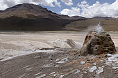 El Tatio geysers, San Pedro de Atacama, Atacama Desert, Chile