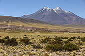 Altiplano and extinct volcano 4200 m, San Pedro de Atacama, Chile