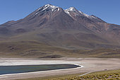 Miscanti Laguna and Miñiques volcano, Los Flamencos National Reserve, San Pedro de Atacama, Chili