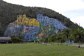 Mural de la Prehistoria, painted fresco (180m sideways and 120m high) on a cliff at the request of Fidel Castro in the 1960s, Viñales Valley, Cuba