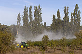 Pesticide spraying on a vineyard, Vaucluse, Provence, France