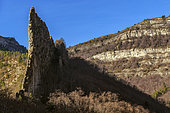 L'homme de Tanaron (ou "lame de Facibelle)". Remarquable lame de molasse marine, de 50 mètres de haut, dans le très célèbre "vélodrome d'Esclangon"- Réserve Géologique de Digne, Alpes de Haute Provence, France
