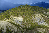 Paysage de la Réserve Géologique de Digne, Lobe de Cousson, Strates du Trias et du Jurassique, Réserve Géologique de Digne, Alpes de Haute Provence, France