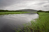 Kaw Marshes Nature Reserve, French Guiana