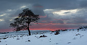 A wintery sunset in the Peak District National Park. Sunset in the Peak District National Park in winter.