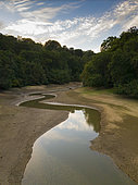 Loder Valley Nature Reserve during dry spell, Ardingly reservoir, West Sussex, UK