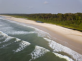 Beach and rainforest, near Omboue, Gabon, central Africa