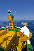 Artisanal and selective tuna fishing. Atlantic Ocean, Makaronesia. Island of Tenerife. Canary Islands.