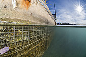 Artificial habitats such as "Biohut" installed along the quays of the Cap d'Agde port, as part of the NAPPEX project (Artificial Nurseries for Exemplary Ports). These modules consist of steel cages filled with oyster shells, and aim to restore the ecosystem service of nurseries for the protection of post-larvae and juveniles, Hérault, Occitania, France.