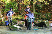 Electric fishing on the Guiers, labeled wild river, Parc Naturel Régional de Chartreuse, Alpes, France