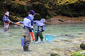Electric fishing on the Guiers, labeled wild river, Parc Naturel Régional de Chartreuse, Alpes, France