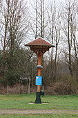 House Martin (Delichon urbicum), Nesting box, Ecopole du Forez, Rhône-Alpes, France