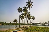 Palm trees and dugout, river near the ocean, south of Buchanan, Liberia, Africa