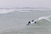 Surfers practicing at Calais beach in winter, Pas de Calais, France