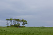 Landscape of Aberdeenshire, near Catterline, Scotland
