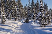 Snowmobile, Jukkasjarvi, Sweden.