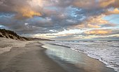 Sandy beach beach at sunset, Saint Clair Beach, Dunedin, Otago Peninsula, Otago, South Island, New Zealand, Oceania