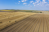 Bales of straw in cornfield after wheat harvest and cultivated young olive trees (Olea europaea) in the Campiña Cordobesa, the fertile rural area south of the town of Córdoba. Aerial view. Drone shot. Córdoba province, Andalusia, Spain.