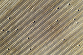 Bales of straw and abstract patterns in cornfield after wheat harvest. In the Campiña Cordobesa, the fertile rural area south of the town of Córdoba. Aerial view. Drone shot. Córdoba province, Andalusia, Spain.