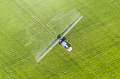 Tractor spraying fungicide onto the rice fields (Oryza sativa). In July. Aerial view. Drone shot. Ebro Delta Nature Reserve, Tarragona province, Catalonia, Spain.