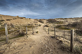 Dune path of Blériot-plage, Opal Coast, Sangatte, Haut-de-France, France