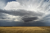 Lenticular cloud in a thunderstorm. Lenticular cloud over the Eurelian plain south of Dreux in front of a thunderstorm after a hot day. Centre-Val de Loire, France