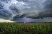 Spring thunderstorm over the Eurelian plains. Isolated but strong thunderstorm forming south of Châteaudun in the middle of the afternoon. In the evening, an arcus developed ahead of these thunderstorms. Centre-Val de Loire, France