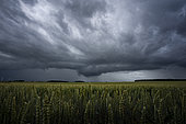 Spring thunderstorm over the Eurelian plains. Isolated but strong thunderstorm forming south of Châteaudun in the middle of the afternoon. In the evening, an arcus developed ahead of these thunderstorms. Centre-Val de Loire, France