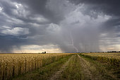 Thunderstorm in the late afternoon over the plain. Thunderstorm forming between Chateauneuf en Thymerais and Dreux late in the day. Thunderstorm with a high base called free atmosphere. Centre-Val de Loire, France