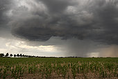 Spring thunderstorms in the Eurelian region. Numerous thunderstorms developed in the evening of June 3rd in the south of Eure et Loir. This storm developed over Bonneval. Centre-Val de Loire, France