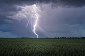 Orage printanier Eurélien. De nombreux orages se sont développés dans la soirée du 3 juin au sud de l'Eure et Loir. De nombreuses foudres positives ont été observées. Cet orage s'est formé sur le secteur de Bonneval. Centre-Val de Loire, France