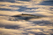Sea of clouds in the Vosges. In December 2019, temperatures reaching 10 degrees at altitude and negative on the ground favoured the formation of low clouds, known as stratus, in the Alsace plain. This sea of clouds was photographed from the heights of the Haut-Koenigsbourg castle. Alsace, France