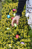 Egg hunt in a garden at Easter, Pas de Calais, France