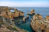 Rugged rocky coast with cliffs of sandstone, rock formations in the sea, Ponta da Piedade, at sunset, Algarve, Lagos, Portugal, Europe