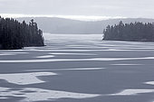 Thaw lake in spring, La Mauricie national Park,Quebec, Canada