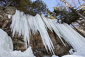 Ice hanging from a cliff in winter, Saint Mathieu du Parc, Québec, Canada
