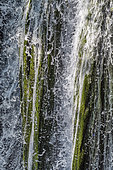 Waterfall and tufa deposits, Ruisseau du Peyssieux, Ain, France