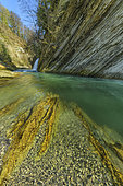 The Cheran gorges, in the Bauges massif. The Cheran, a wild river in the Bauges, has carved gorges in the soft mollassic sandstone deposited in the Tertiary period. Savoie, PNR des Bauges, France