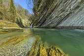 The Cheran gorges, in the Bauges massif. The Cheran, a wild river in the Bauges, has carved gorges in the soft mollassic sandstone deposited in the Tertiary period. Savoie, PNR des Bauges, France