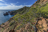 The creeks of Cap Dramont, in the Esterel Massif. A small classified and protected massif created by a volcanic activity dating from the Permian (primary era) and formed by rhyolites (porphyries) with brilliant colours under the setting sun. Var, France