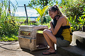 Young black spider monkey (Ateles paniscus) cuddled in the arms of a young woman near a transport crate in French Guyana