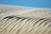 Sand dune in channels between San Carlos and La Florida BCS Mexico